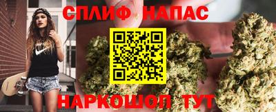 mdpv Краснознаменск