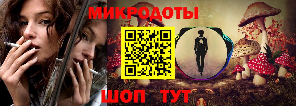 Псилоцибиновые грибы Cubensis Чебоксары