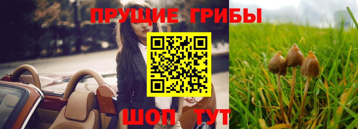 сколько стоит  Псилоцибиновые грибы прущие грибы  Галлюциногенные грибы Magic Shrooms  Вход с VPN  Чебоксары 